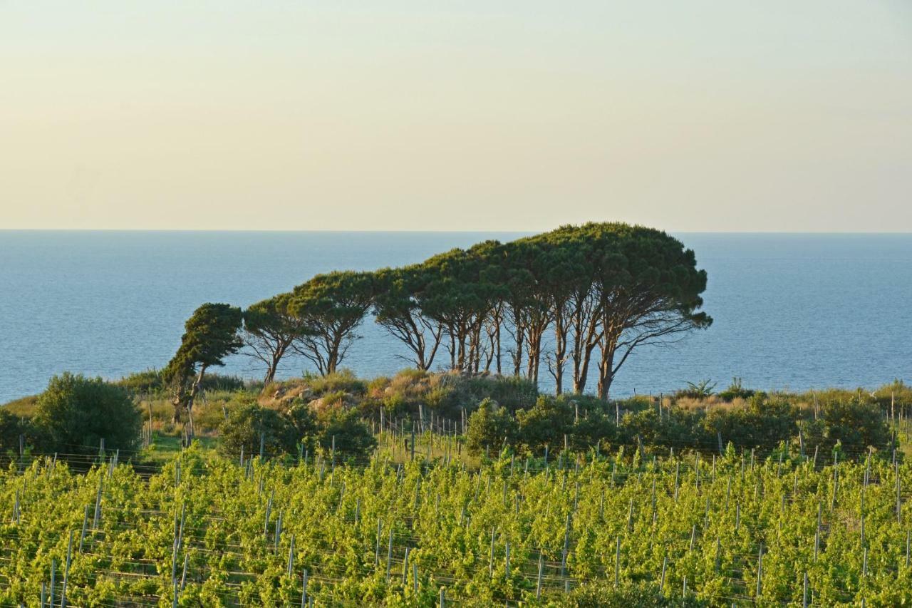 Tenuta Rasocolmo Messina Buitenkant foto